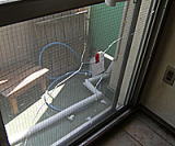 �ԓ���K���X�̌���