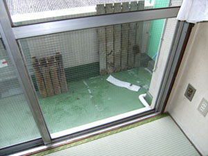 �ԓ���K���X�̌���