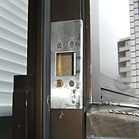 �{�H��0111-�x�����_�h�A�{�̂̂݌���