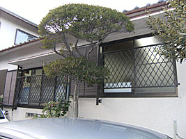 �{�H��0124-�ʊi�q��t(�q�V�N���X�ʊi�q)