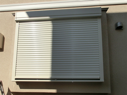 �{�H��0219-��t���V���^�[�H��