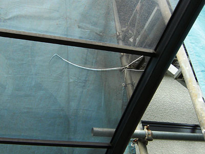 �J�[�|�[�g�|���J�[�{�l�C�g�����ތ���