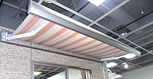 ���悯�I�[�j���O��t��