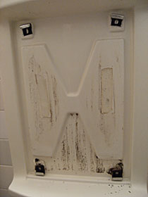 �h�K���@�{�H�O