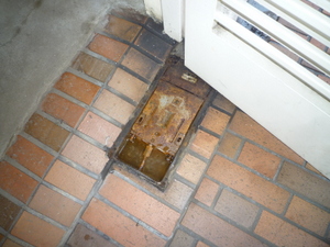 �t���A�q���W����